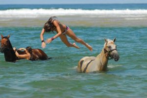 Baignade à l'océan avec les chevaux
