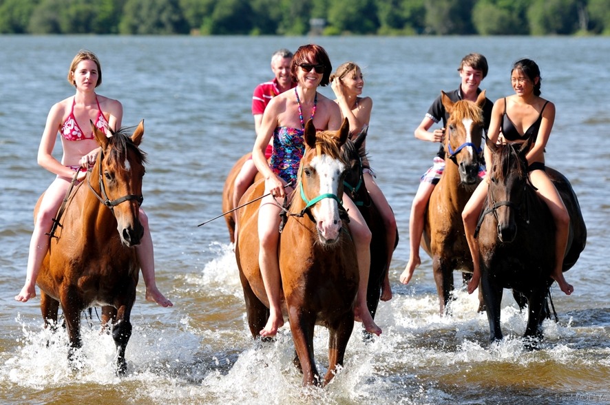 Journée Randonnée à cheval : Lac d’Aureilhan, plage et coucher de soleil – 2026