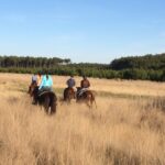 Randonnée à cheval dans les Landes
