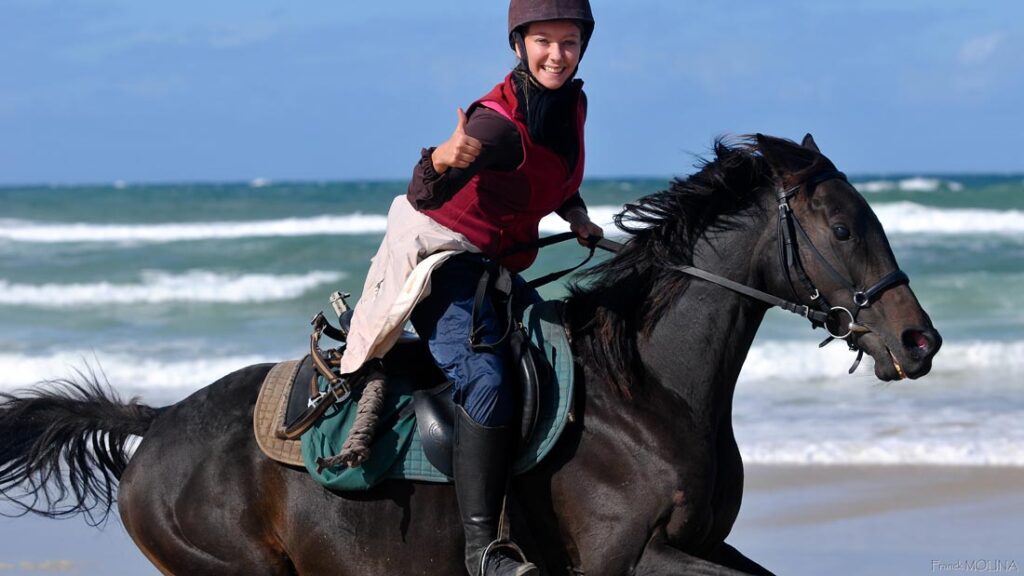 Marina Equestrian Center, Atlantic Coast, Aquitaine, France