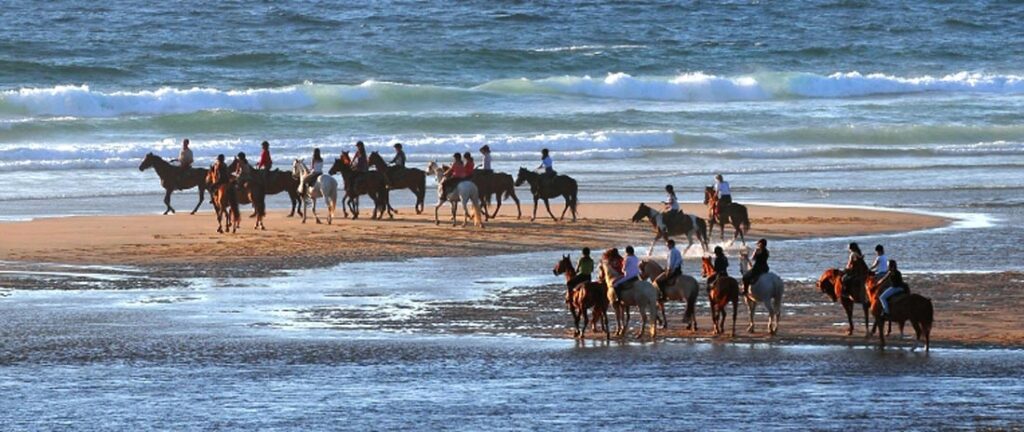 Horseback riding on the Atlantic Coast – Landes & Ocean – 2026