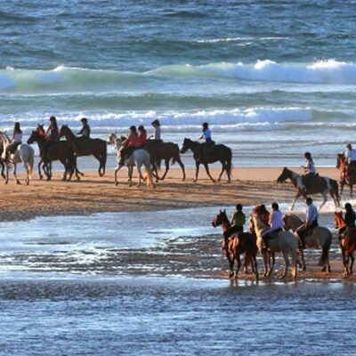 Randonnée à cheval sur la Côte Atlantique – Landes & Océan – 2026