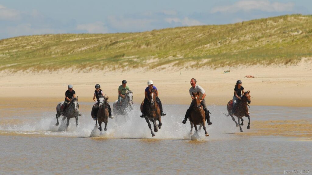 Horseback riding in the Landes – 2 hours, half-day or full day – France - 2026