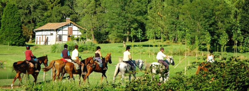 A cheval dans la forêt des Landes