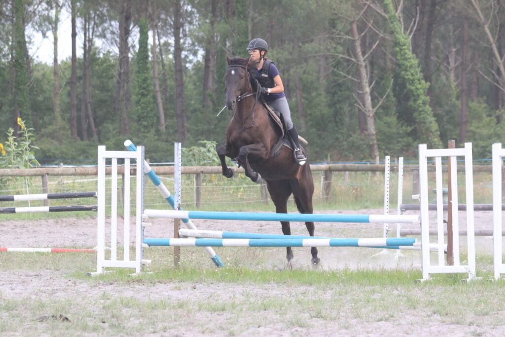 Show Jumping & Hunter Tuition – Flatwork and Jumping Improvement – 2 days – Adults – 2026