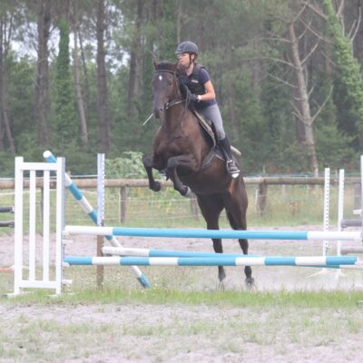 Stage Obstacle & Hunter – Perfectionnement Plat et Saut – 2 jours – Adultes – 2026
