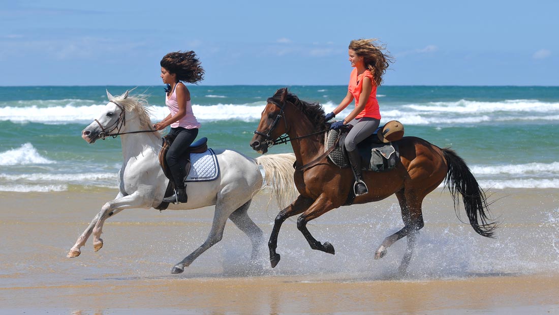 À cheval sur la Côte d'Argent 2024 - Centre équestre Marina