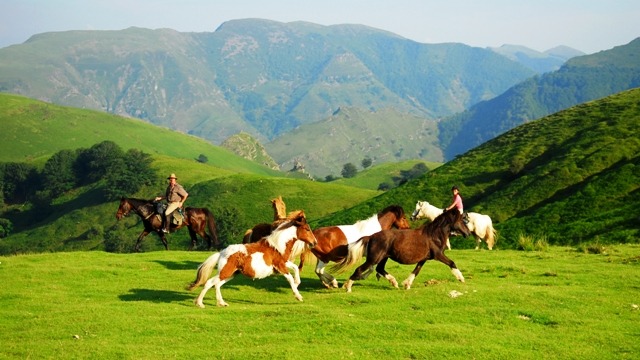 Randonnée à cheval dans les Pyrénées : montagnes du Pays Basque et plages de l’Atlantique – 2026