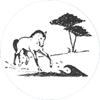 Logo Centre équestre Marina