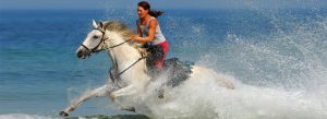 Randonnée à cheval sur la plage de l'océan Atlantique