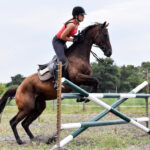 stage équitation et saut obstacle