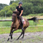stage équitation et cours anglais