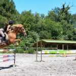 stage équitation et saut obstacle Aquitaine